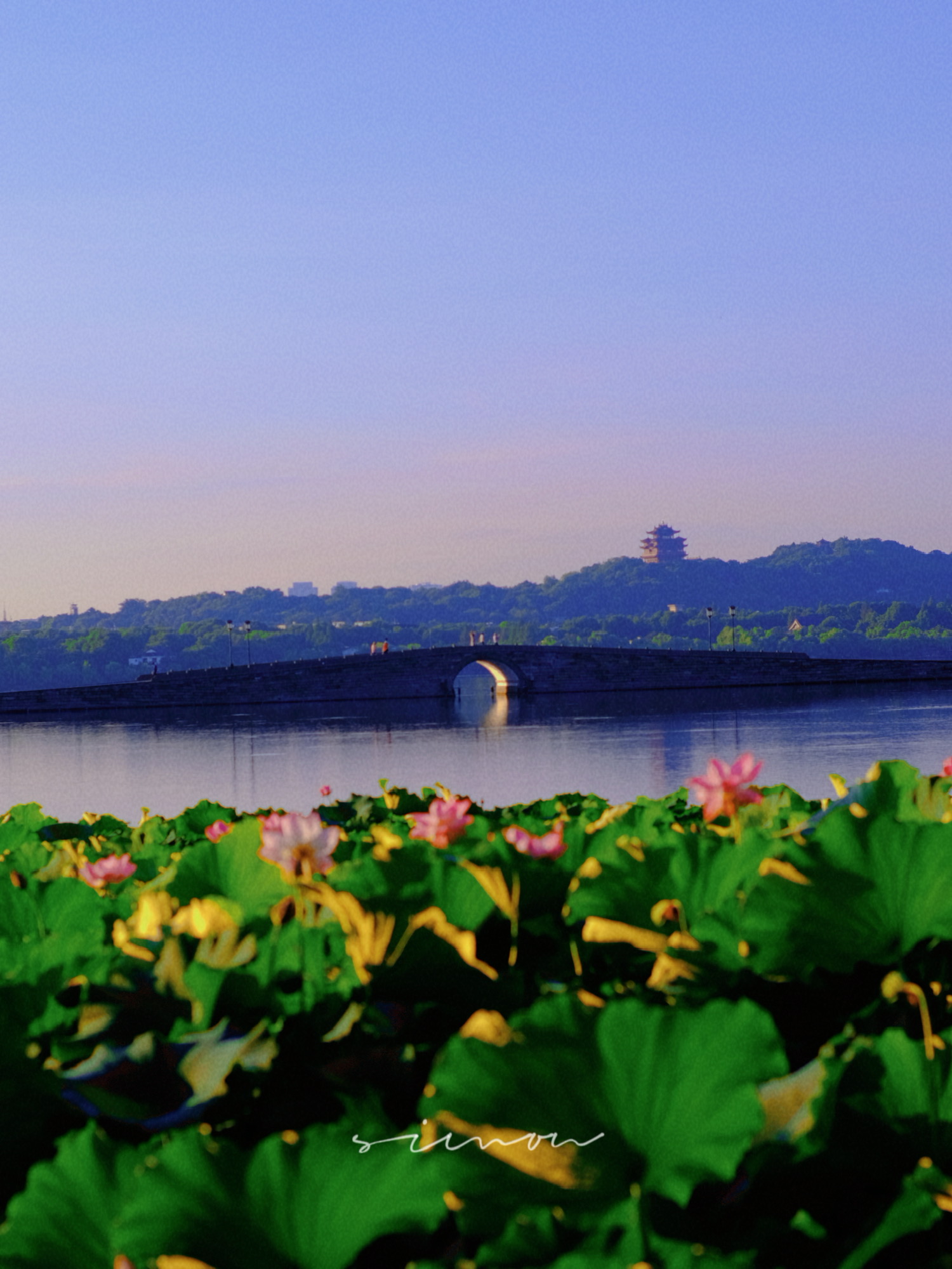 武汉桂子湖图片