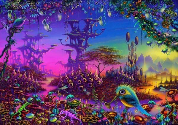 插画师：Danny Flynn