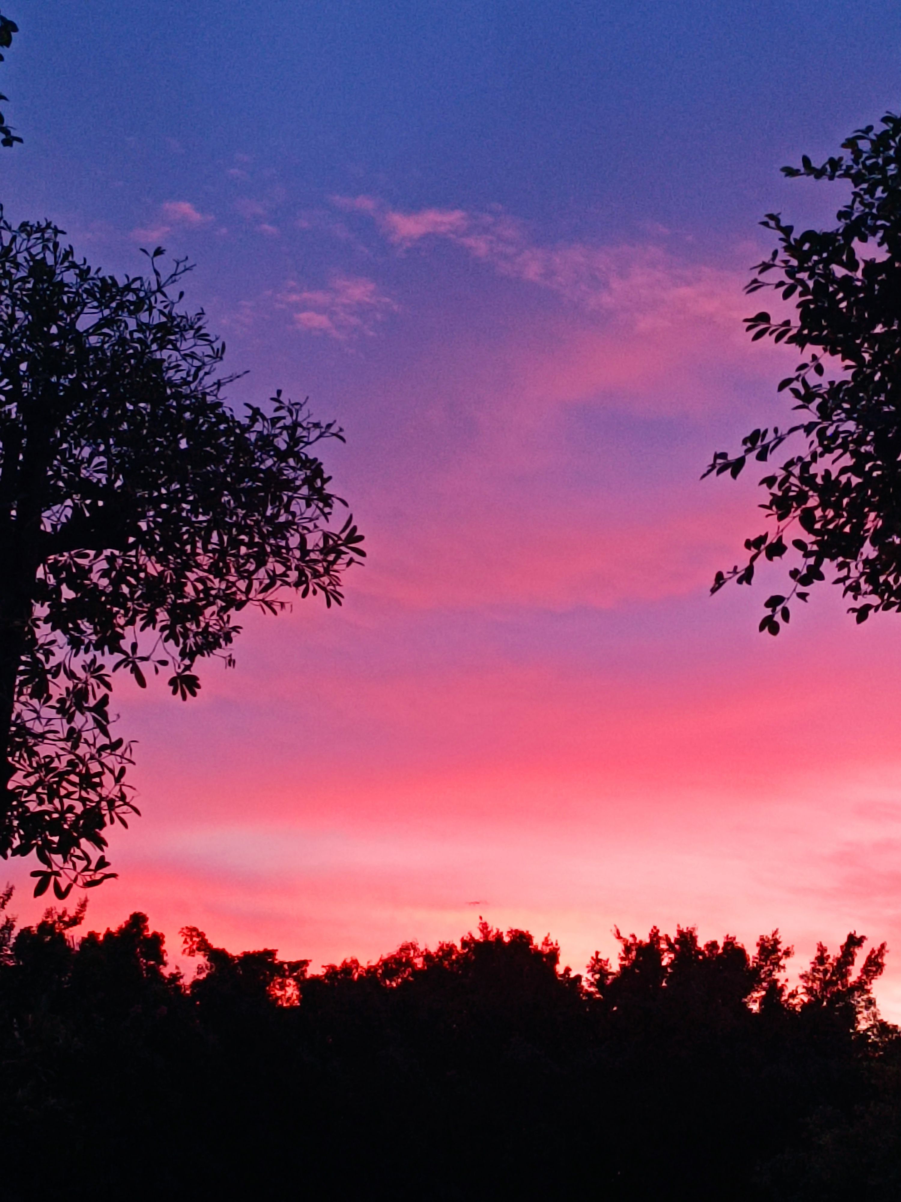 落日的余晖会不会思念傍晚的晚霞 - 即刻app