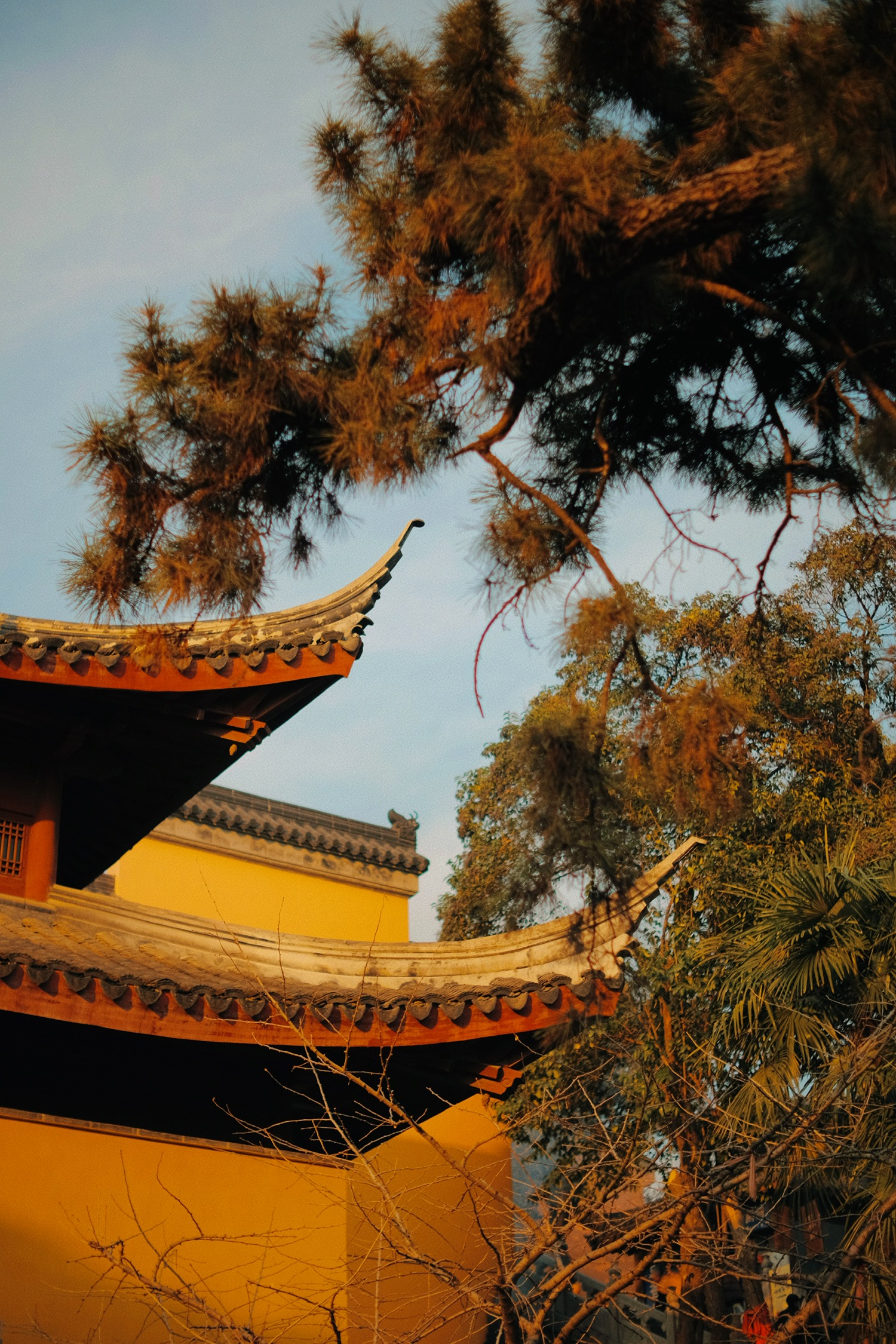 鸡鸣寺 - 即刻app