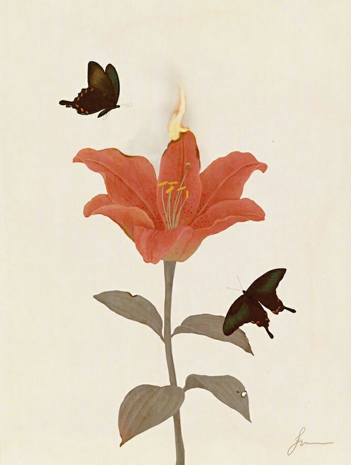 韩国插画师：JIWOON PAK