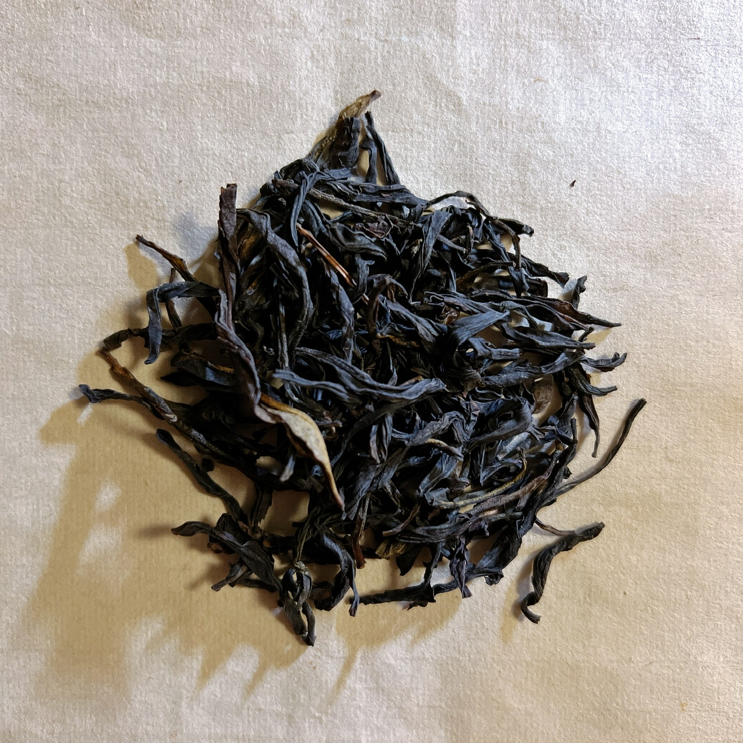 又得到个有意思的品种白须翁单株