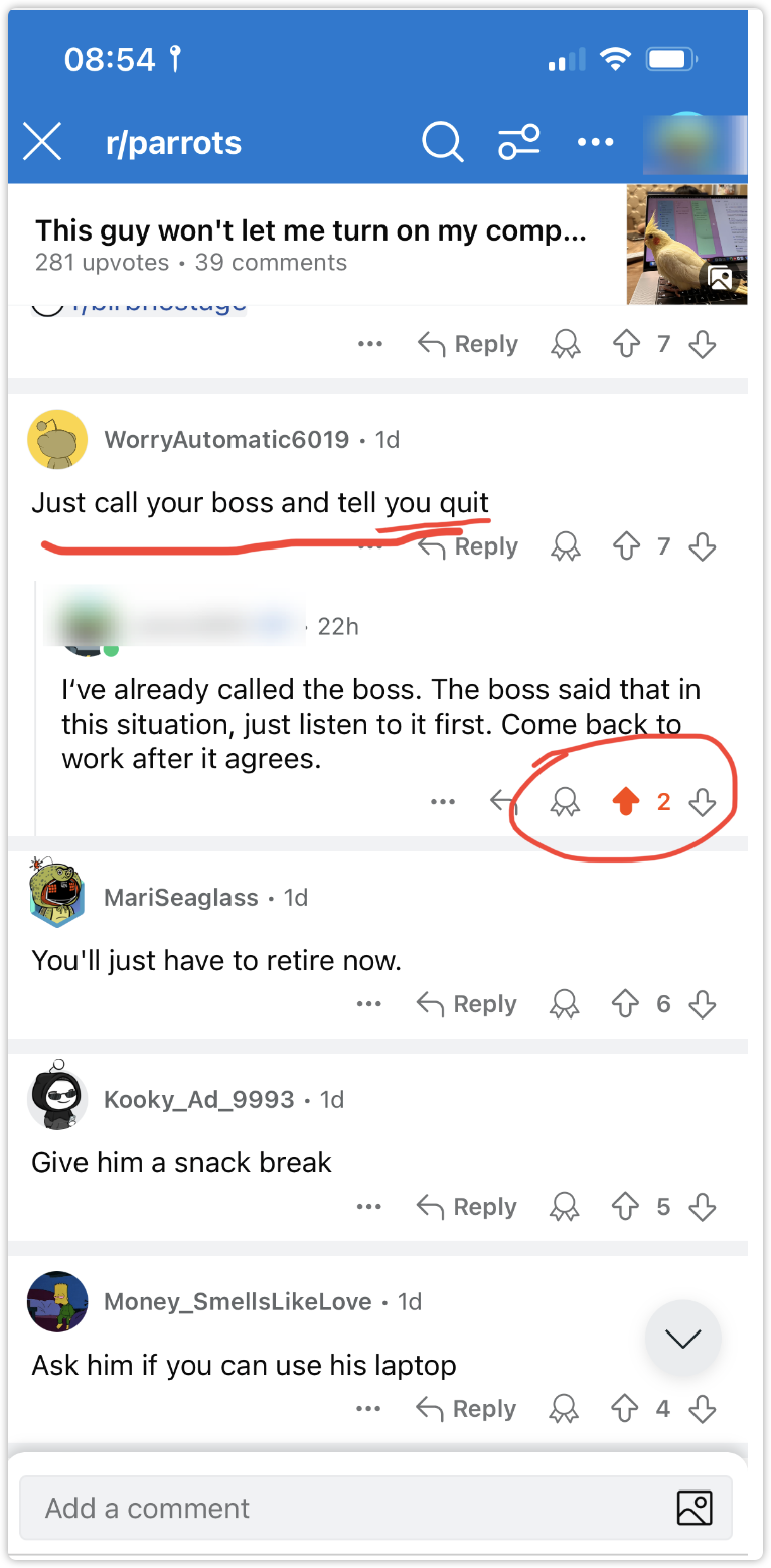 Reddit新人如何在3 天内从负数到300+ Karma - 即刻App