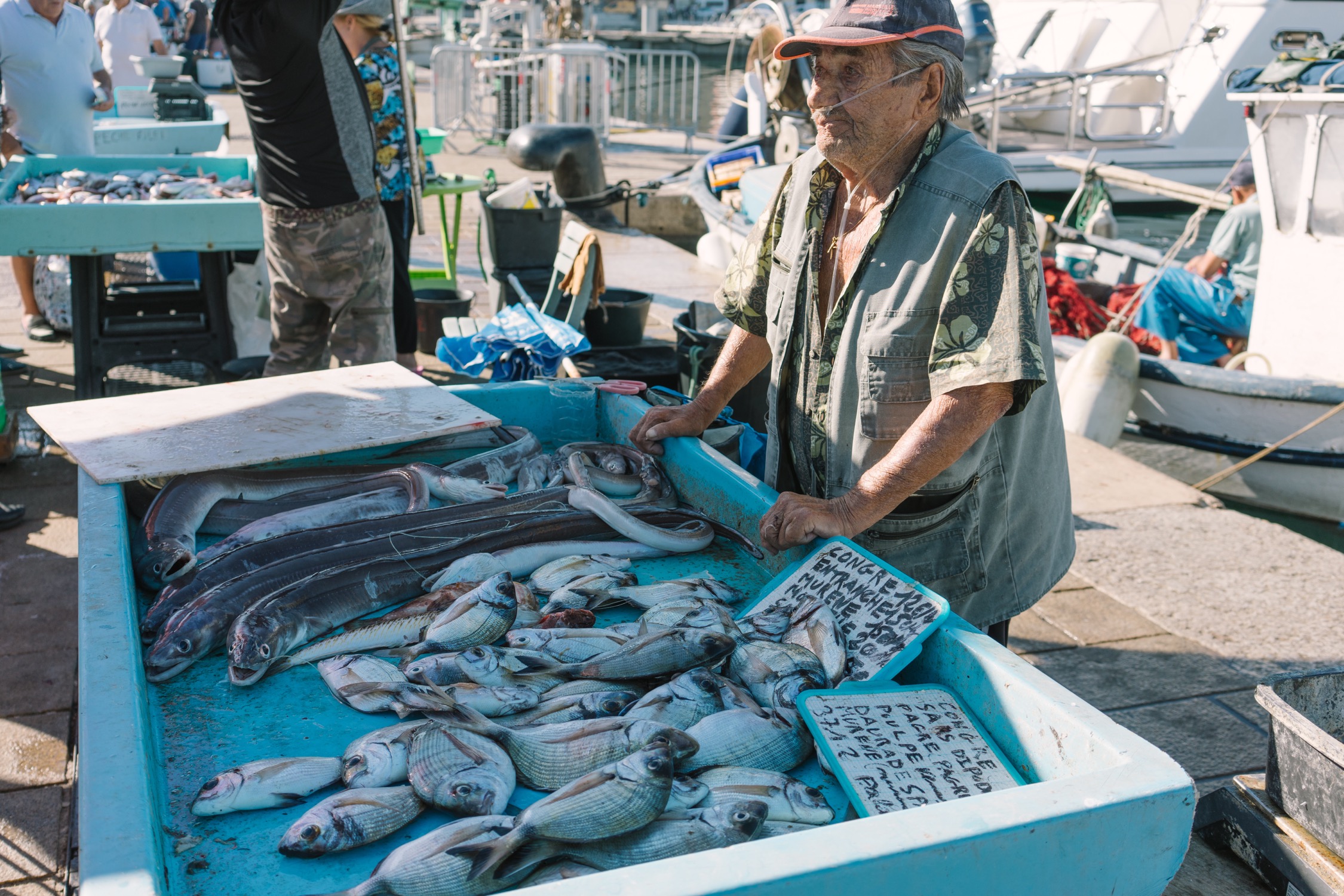 马赛老港的鱼市 - 即刻app