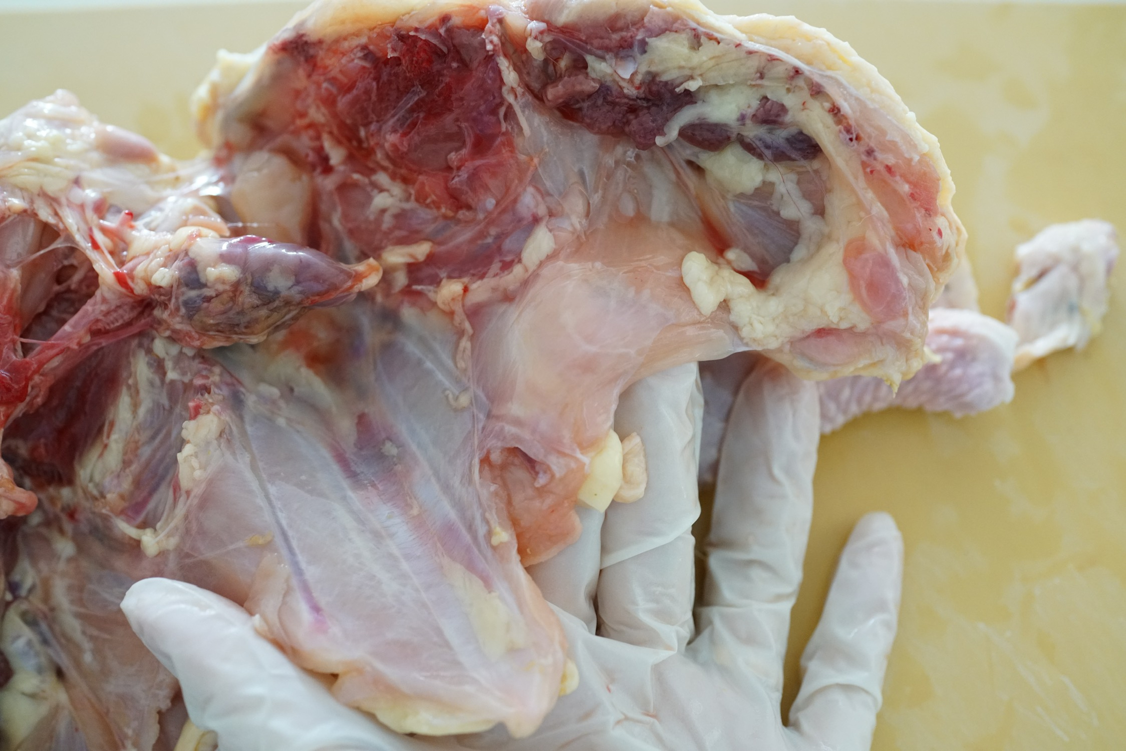 鸡94的横膈膜ハラミ,一层薄薄的肉膜,大部分切割方式会舍弃不