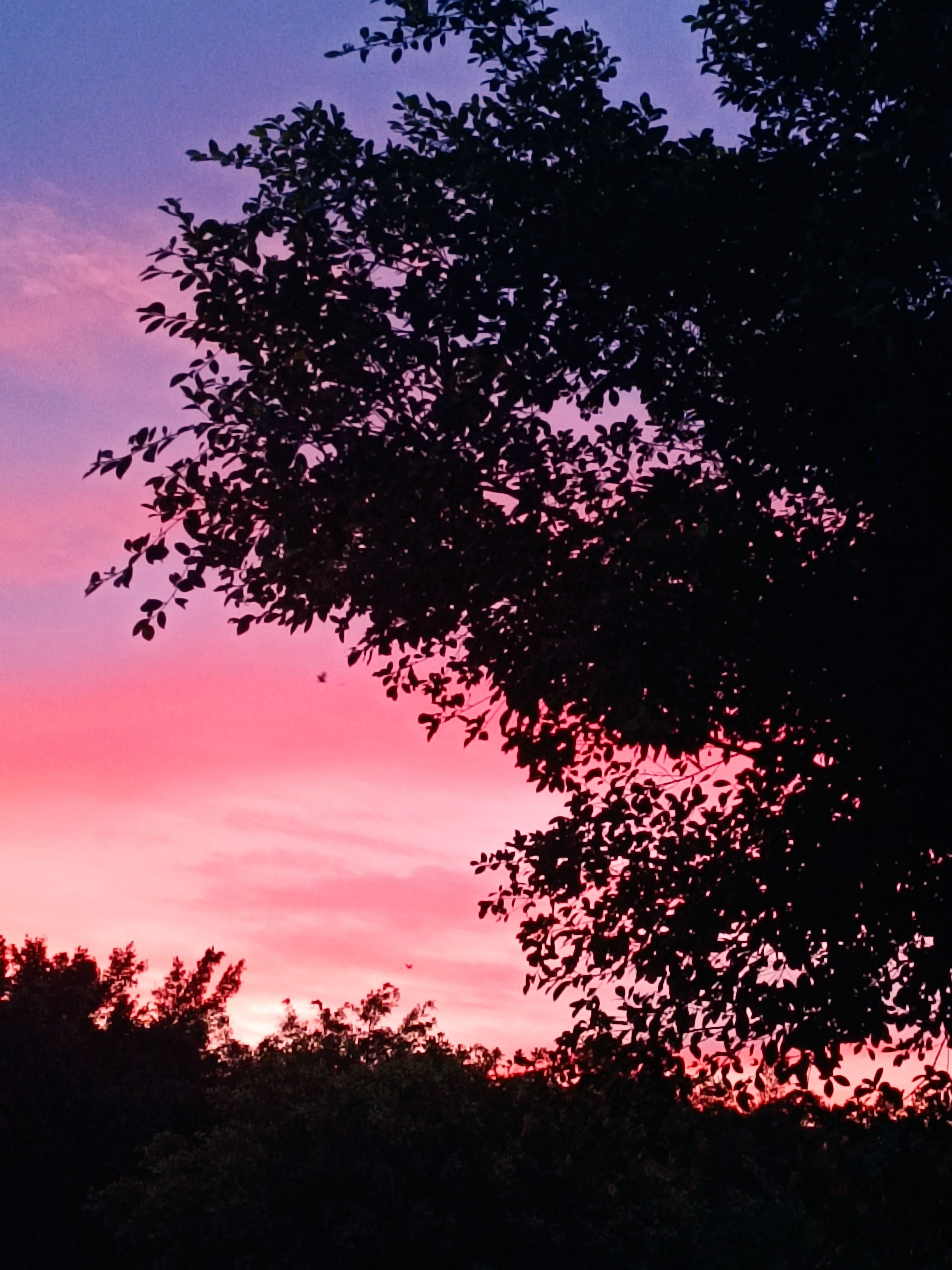 落日的余晖会不会思念傍晚的晚霞 - 即刻app