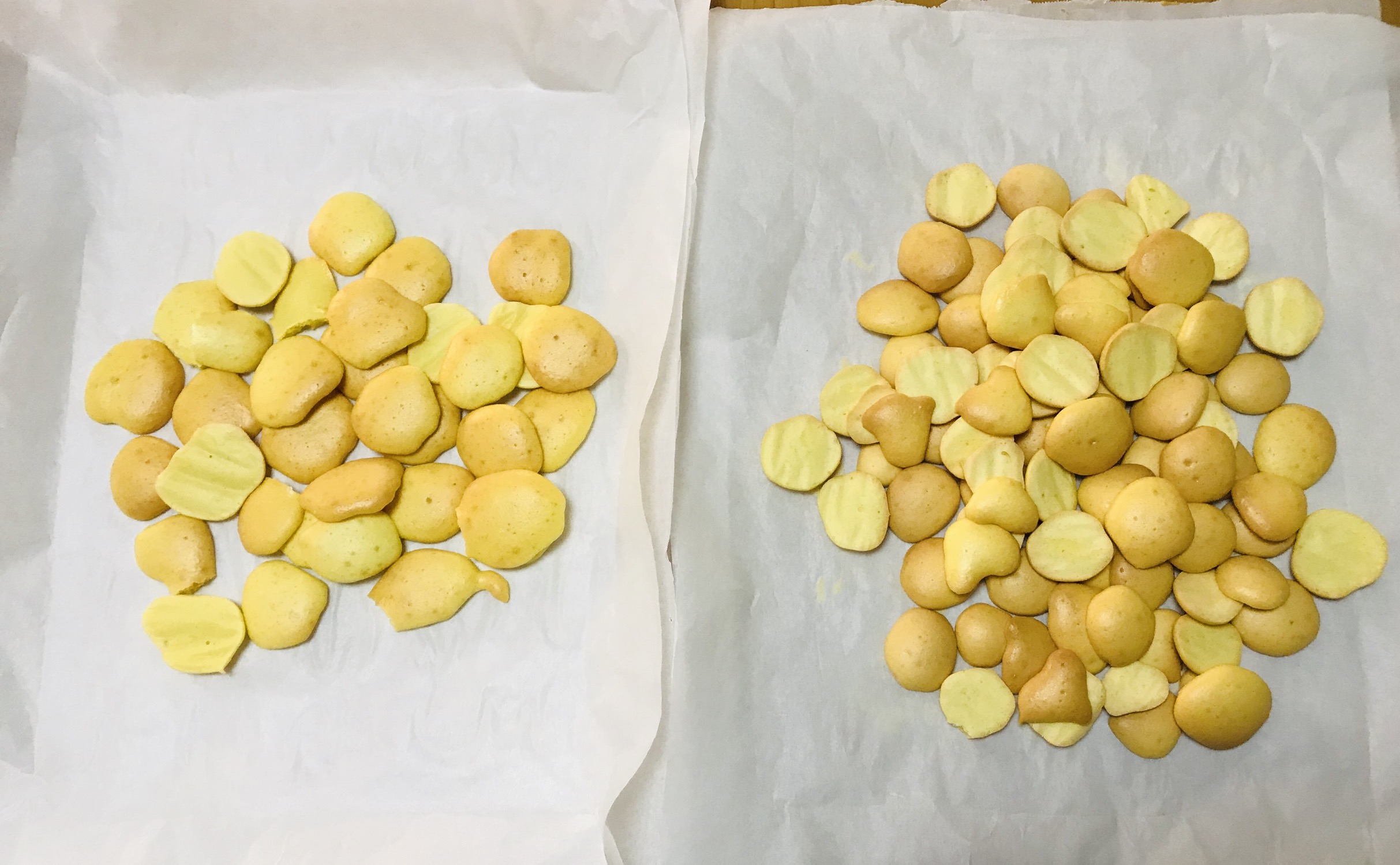 雨后小奶黄饼干. - 即刻app