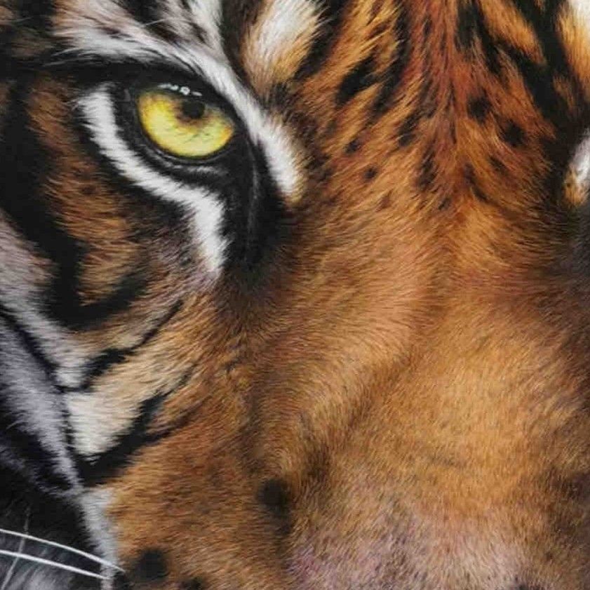 今天看完了ahr999九神的《囤比特币》这本书，印象最深的- 即刻App