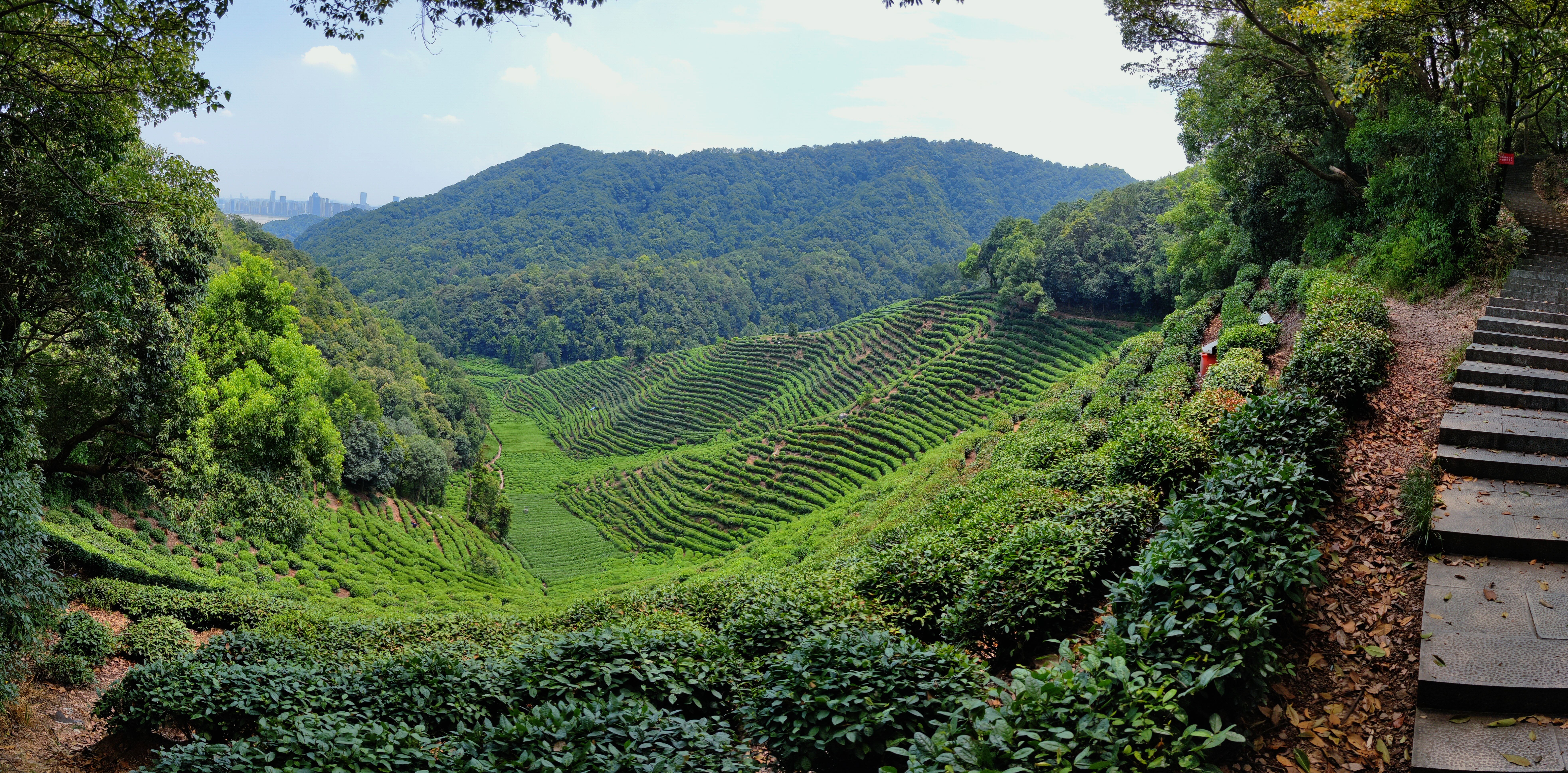 700来自圈子杭州吃喝玩乐小分队35694人已经加入加入